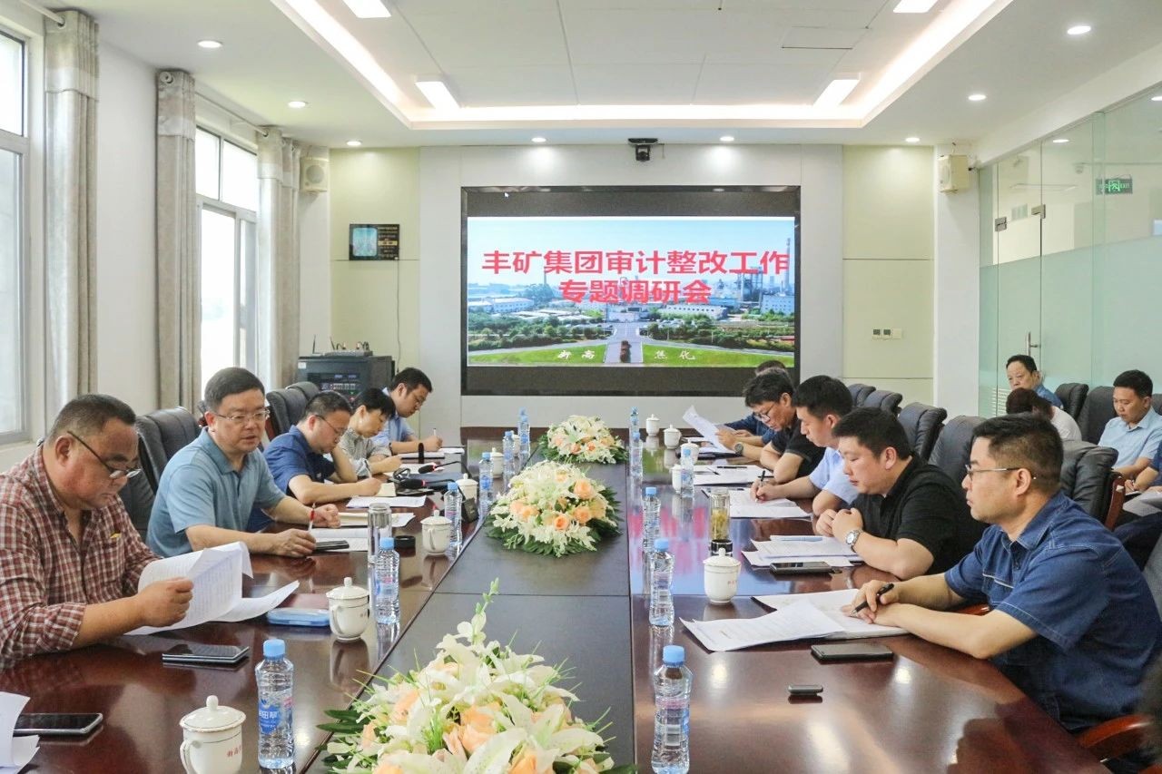 主题教育 | 邓福保围绕提升审计整改成效课题开展调研